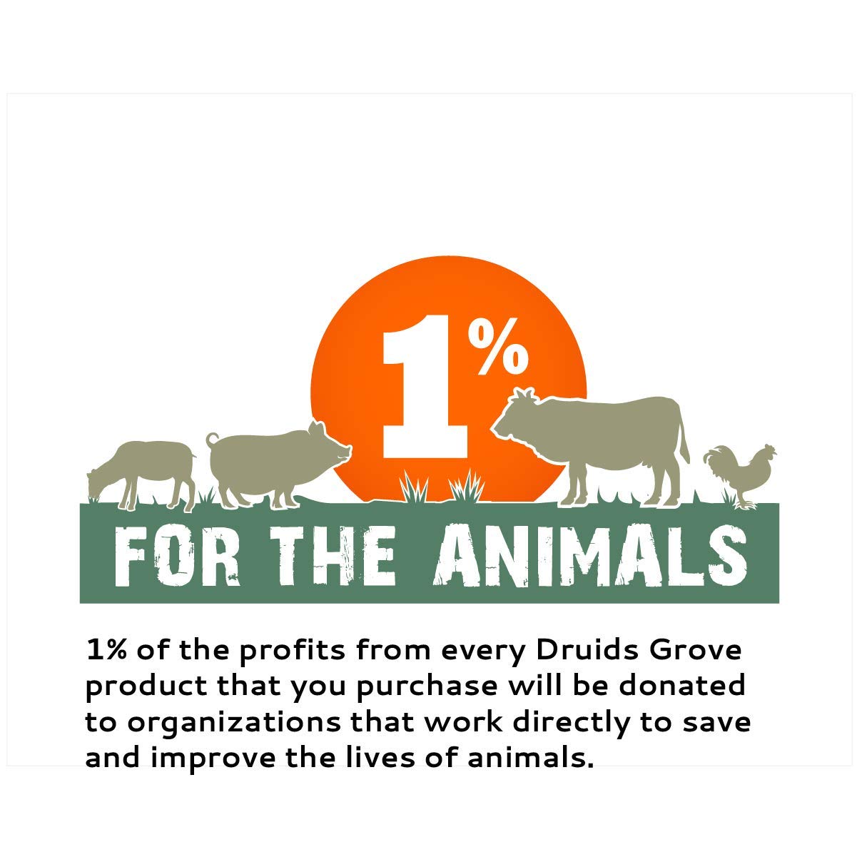 Druids Grove Soy Milk Powder Vegan ? Non-GMO Gluten-Free OU Kosher Certified - 8 oz. - Image 6